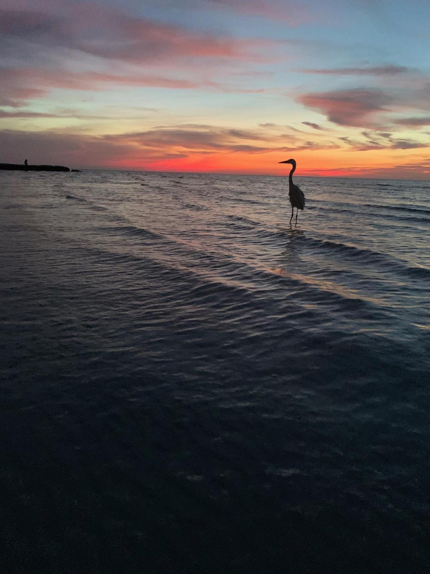 Casa Noma-Noma Holbox Bed & Breakfast Екстериор снимка